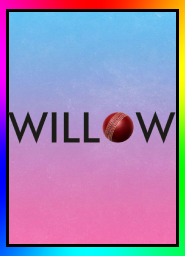 Willow Cricket