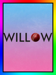 Willow Cricket